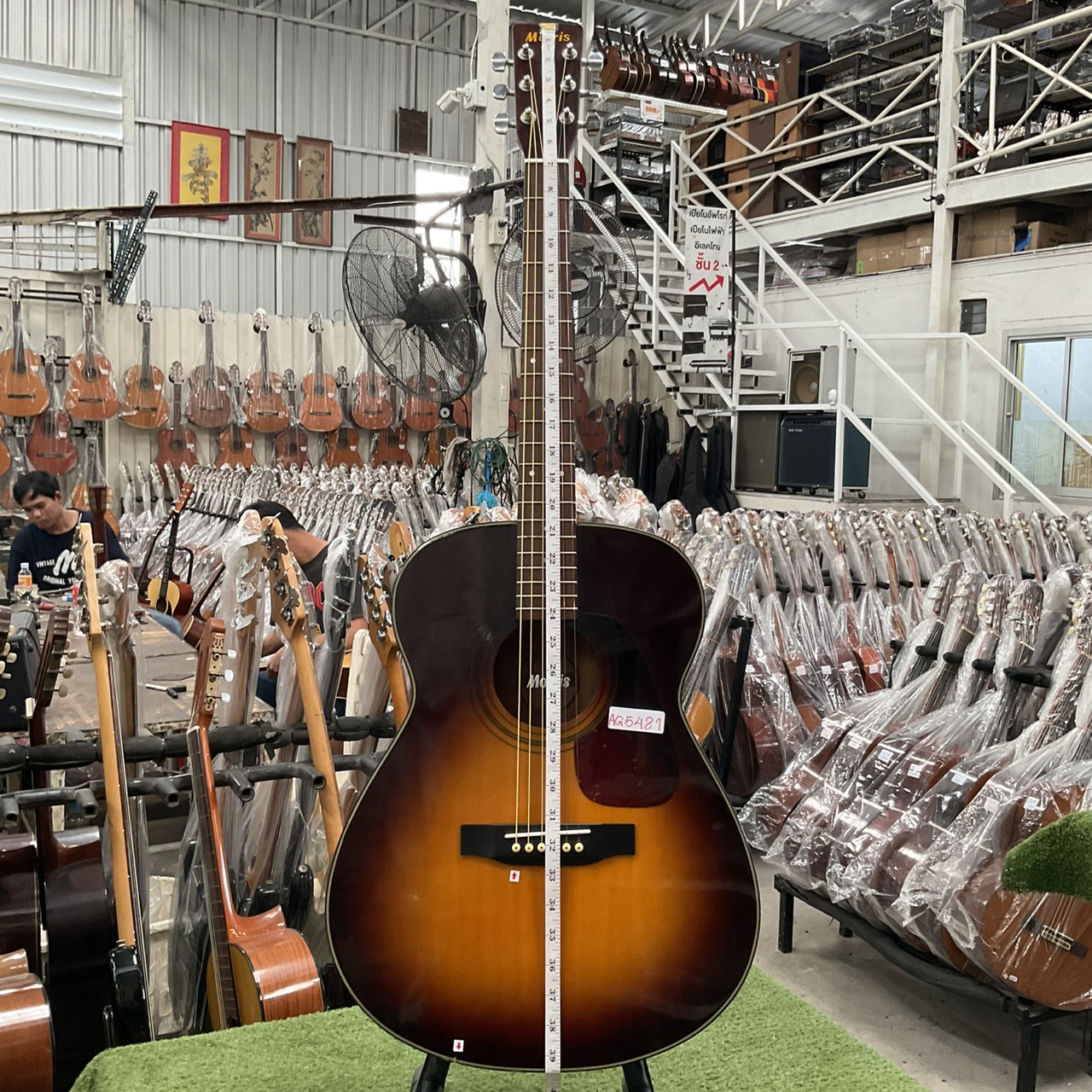 กีต้าร์โปร่ง Morris : MF-208