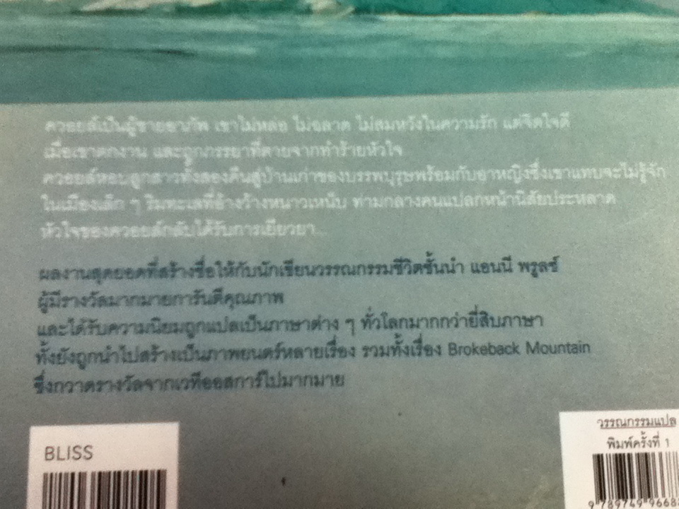 ขอบฟ้าไม่ว่างเปล่า The Shipping News