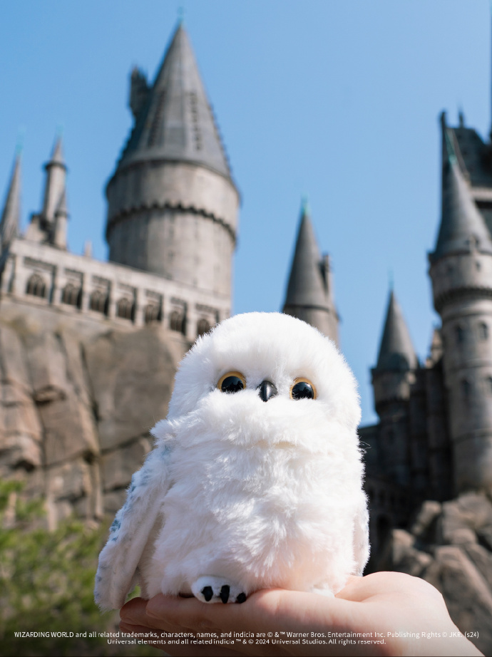 [Pre-Order] Harry Potter Snow owl Universal Studios Beijing นกฮูกแฮร์รี่ โต้ตอบได้