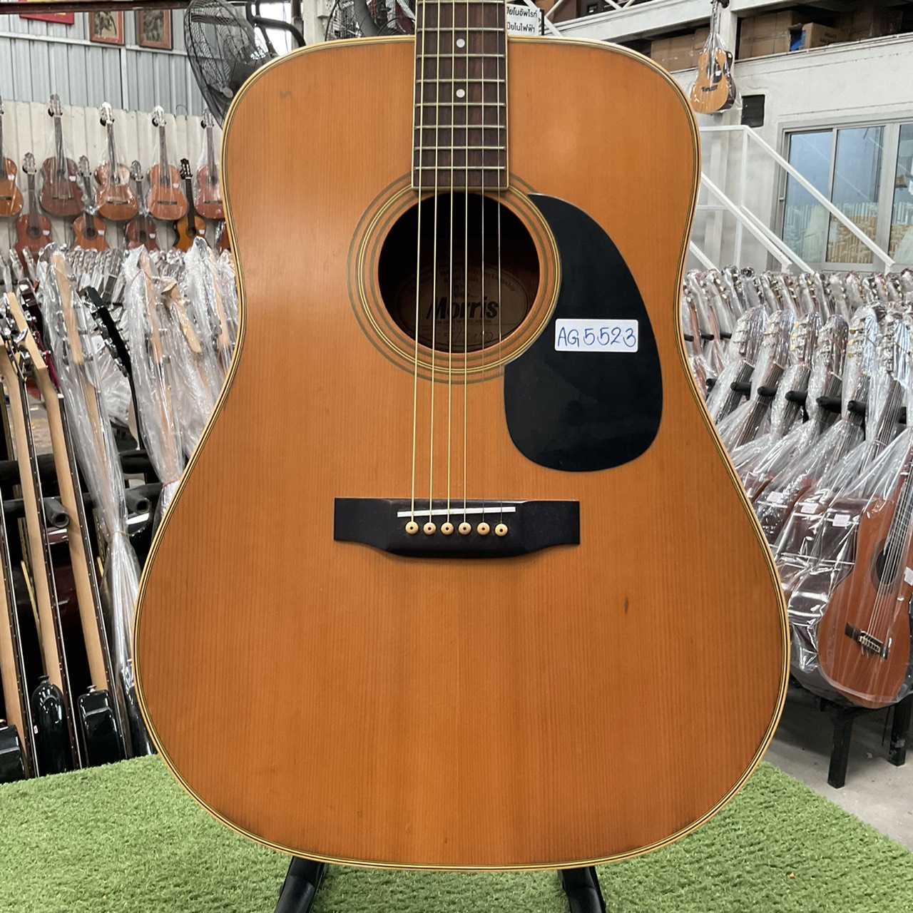 กีต้าร์โปร่ง Morris : W-20