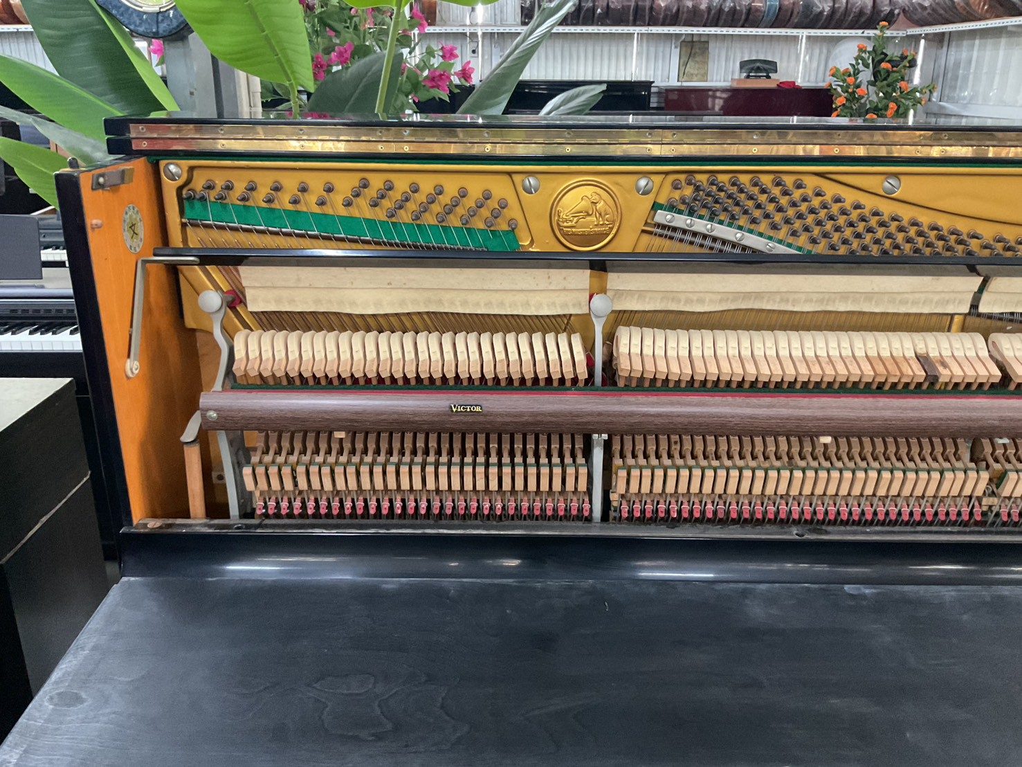 เปียโนอัพไลท์ VICTOR : V-31