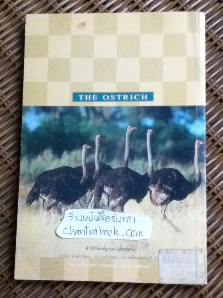 นกกระจอกเทศ/ พันธจิต