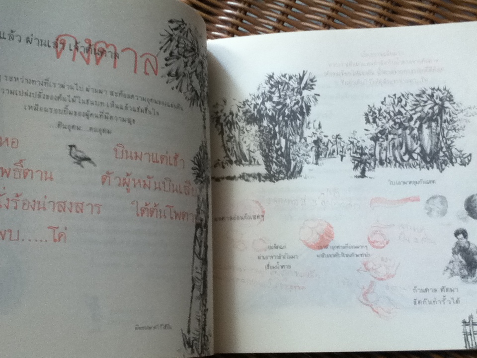 เรื่องเล่ารอบทะเลสาบ/ ขมิ้นศรี