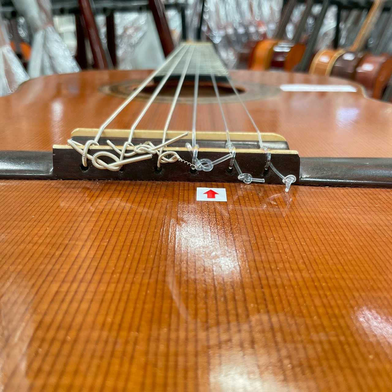 กีต้าร์คลาสสิค Shinano : LG130