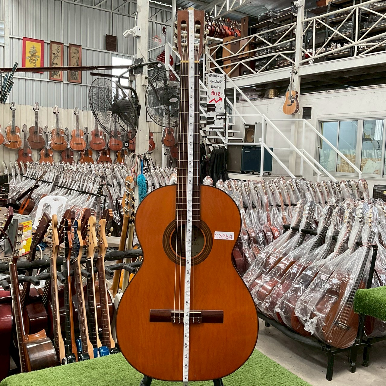 กีต้าร์คลาสสิค Shinko Pleasant : No.70