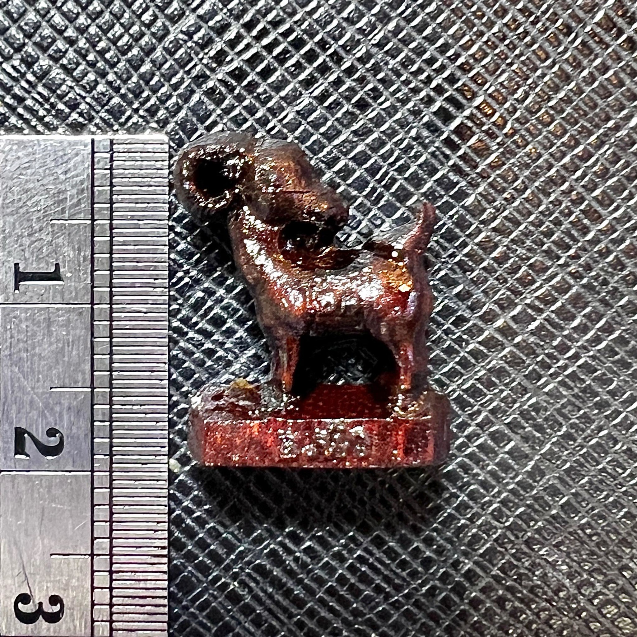 พญาแพะเหลียวหลัง (ไม้มะขามตายพราย) Backward-Gazing Goat King. (dead-standing tamarind wood) SKU-04001