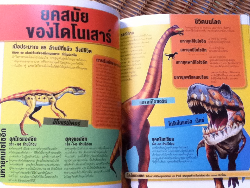 NATIONAL GEOGRAPHIC KIDS ชุด รู้ไปหมด เรื่องแมลง, เรื่องอวกาศ, เรื่องอียิปต์โบราณ และเรื่องไดโนเสาร์ รวม 4 เล่ม