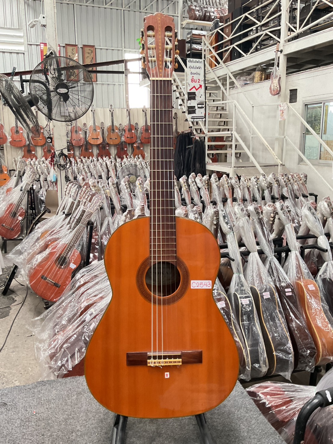 กีต้าร์คลาสสิค TOKAI : L-80