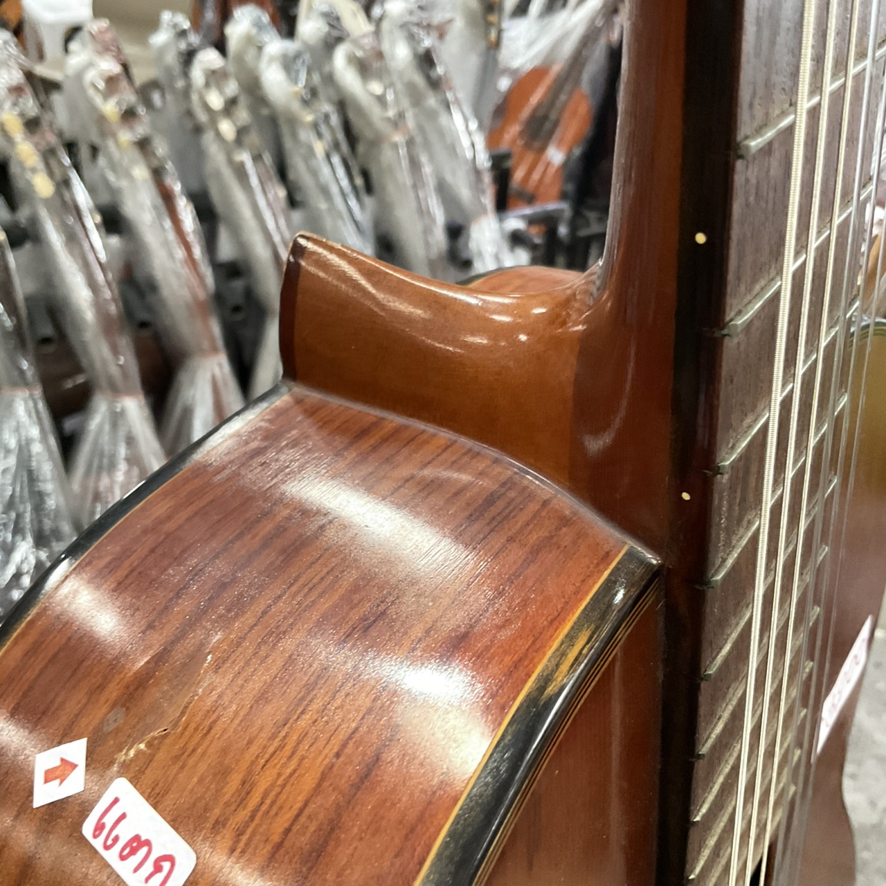 กีต้าร์คลาสสิค Abe Gut : 65A