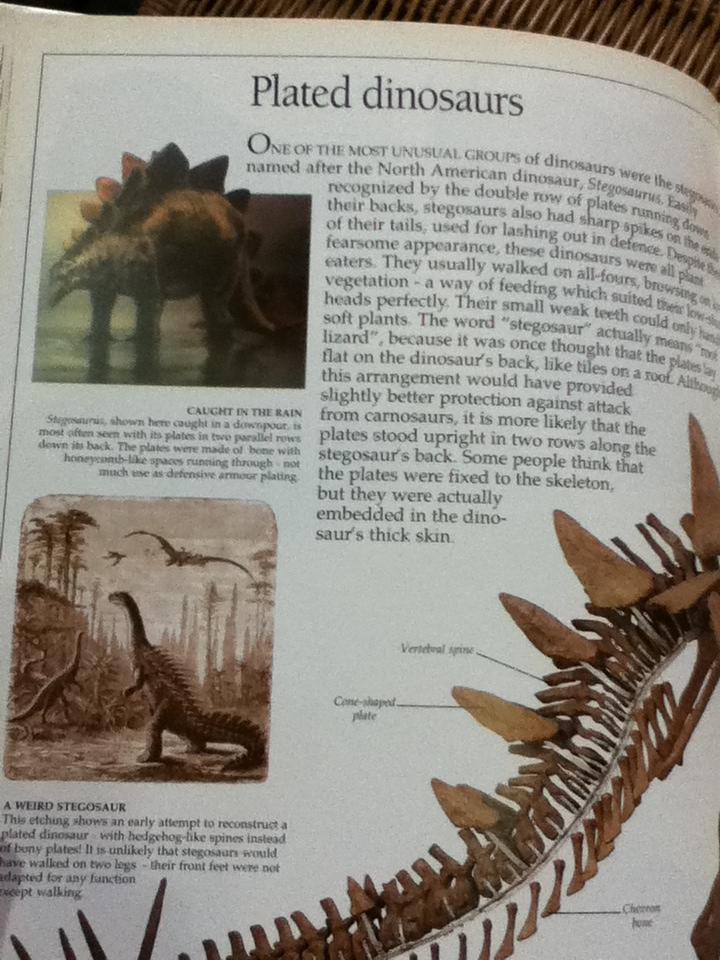 EYEWITNESS GUIDES 9 เล่ม