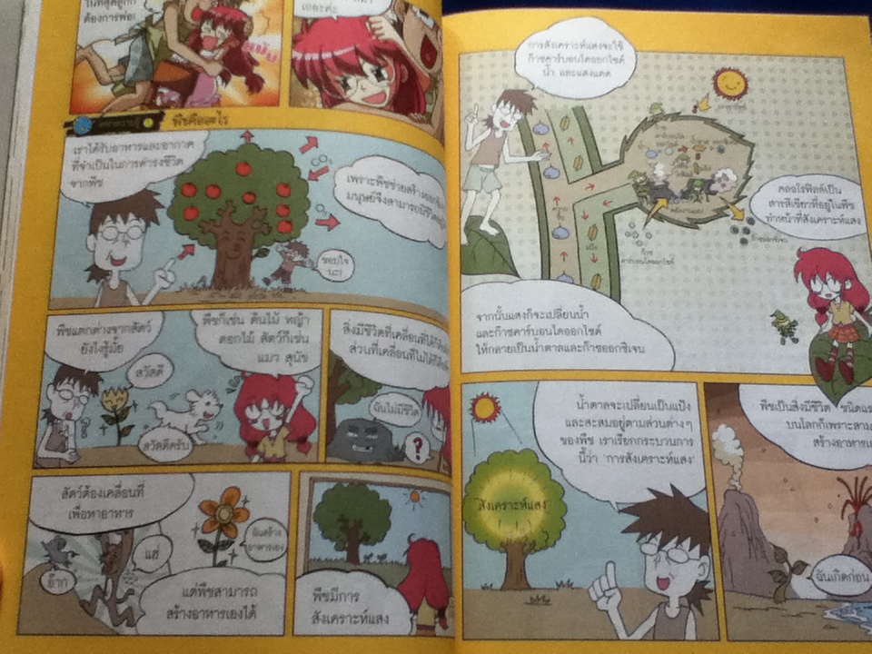 จอมเวทผู้พิทักษ์กับสงครามวิทยาศาสตร์ ตอนพืขประหลาด