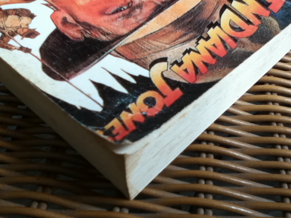 อินเดียน่า โจนส์ ตอน ปาฏิหาริย์สุดขอบฟ้า/ ร็อบ แม็คเกรเกอร์