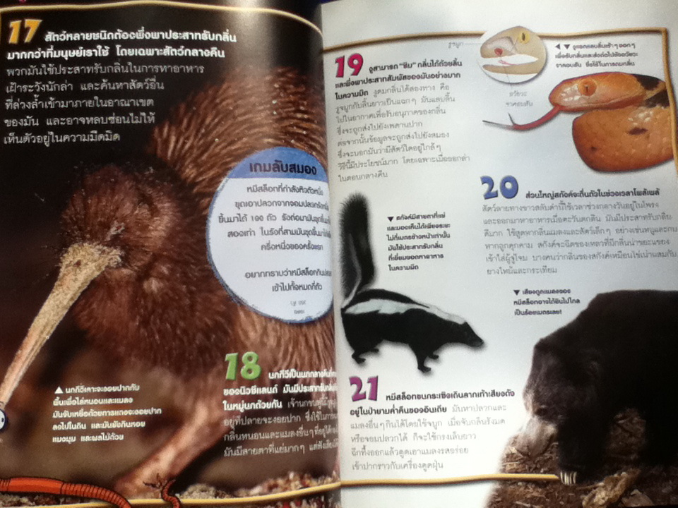 100 เรื่องน่ารู้เกี่ยวกับสัตว์กลางคืน