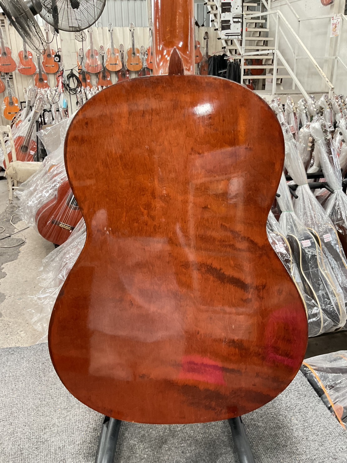 กีต้าร์คลาสสิค Zen-on Gut : No.50