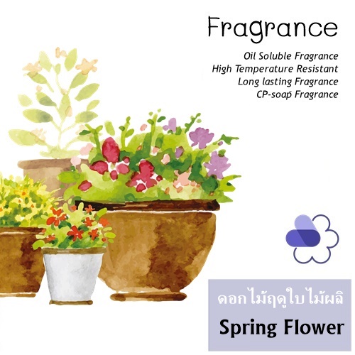 Spring Flower หัวน้ำมันหอม ดอกไม้ฤดูใบไม้ผลิ Floral ,Sweet ,spicy and waxy. กลิ่นหอมชวนหลงใหล ชวยเติมเต็มจินตนาการและความสุข ละลายในน้ำมัน ทนอุณหภูมิสูง ไม่เร่งเทรซ COA