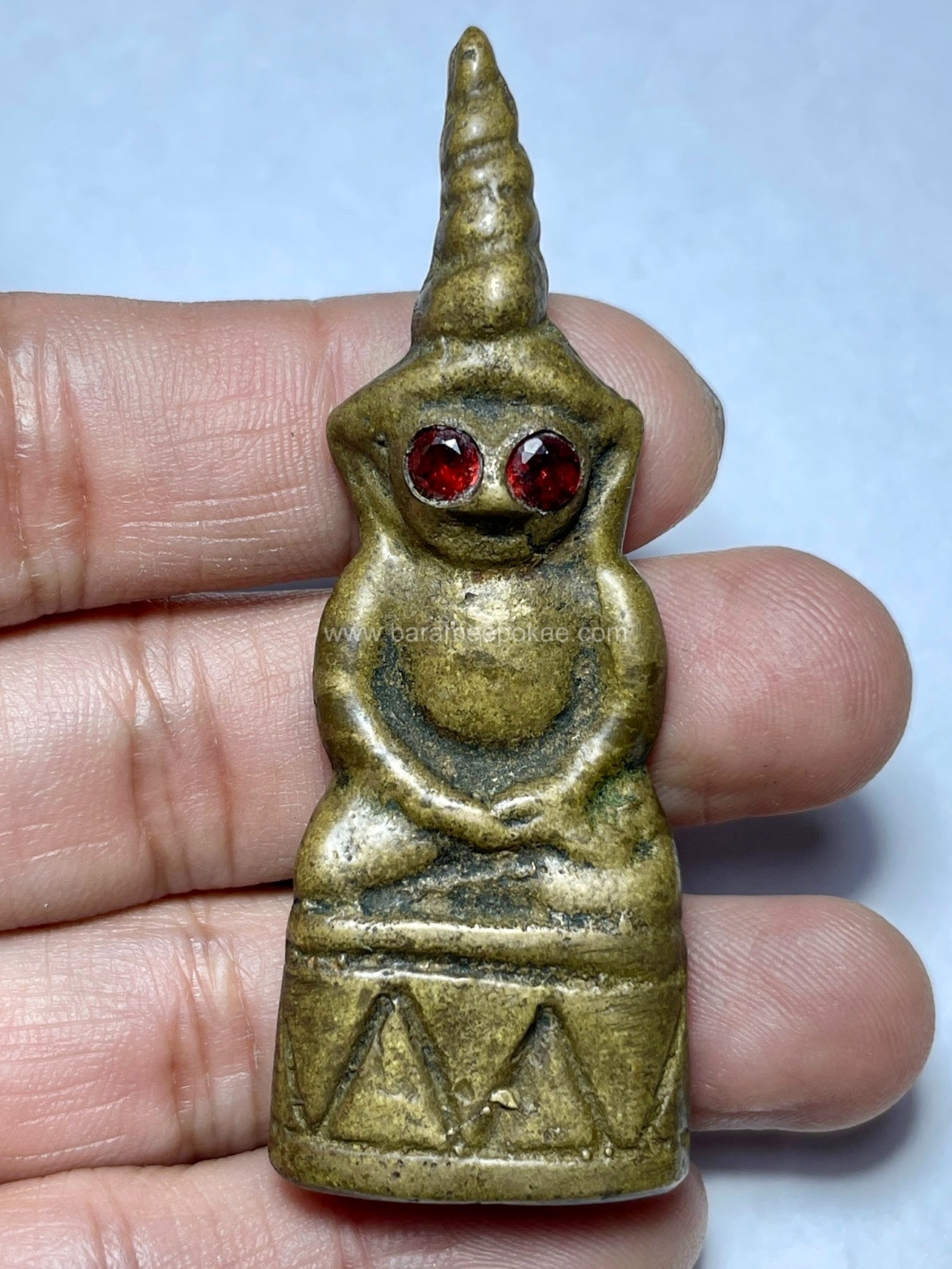 งั่งตาแดงหัวสว่าน Red-Eyed Drill Head Ngang. SKU-03642