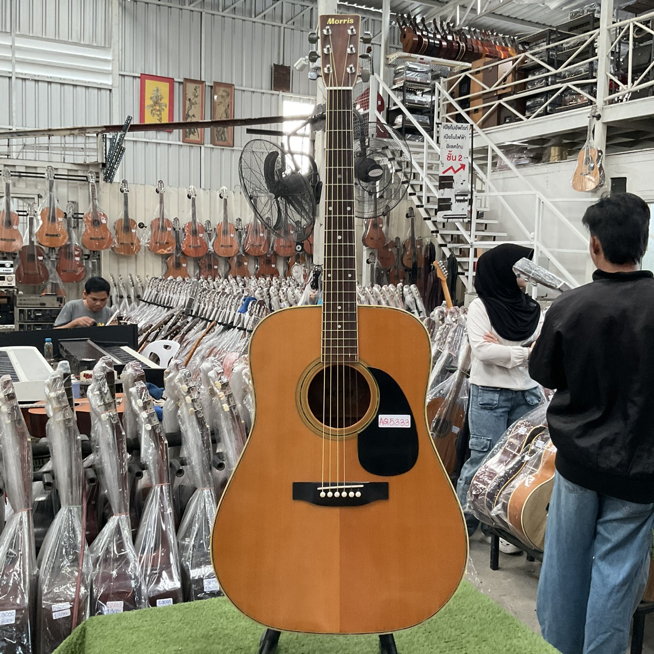 กีต้าร์โปร่ง Morris : W-25