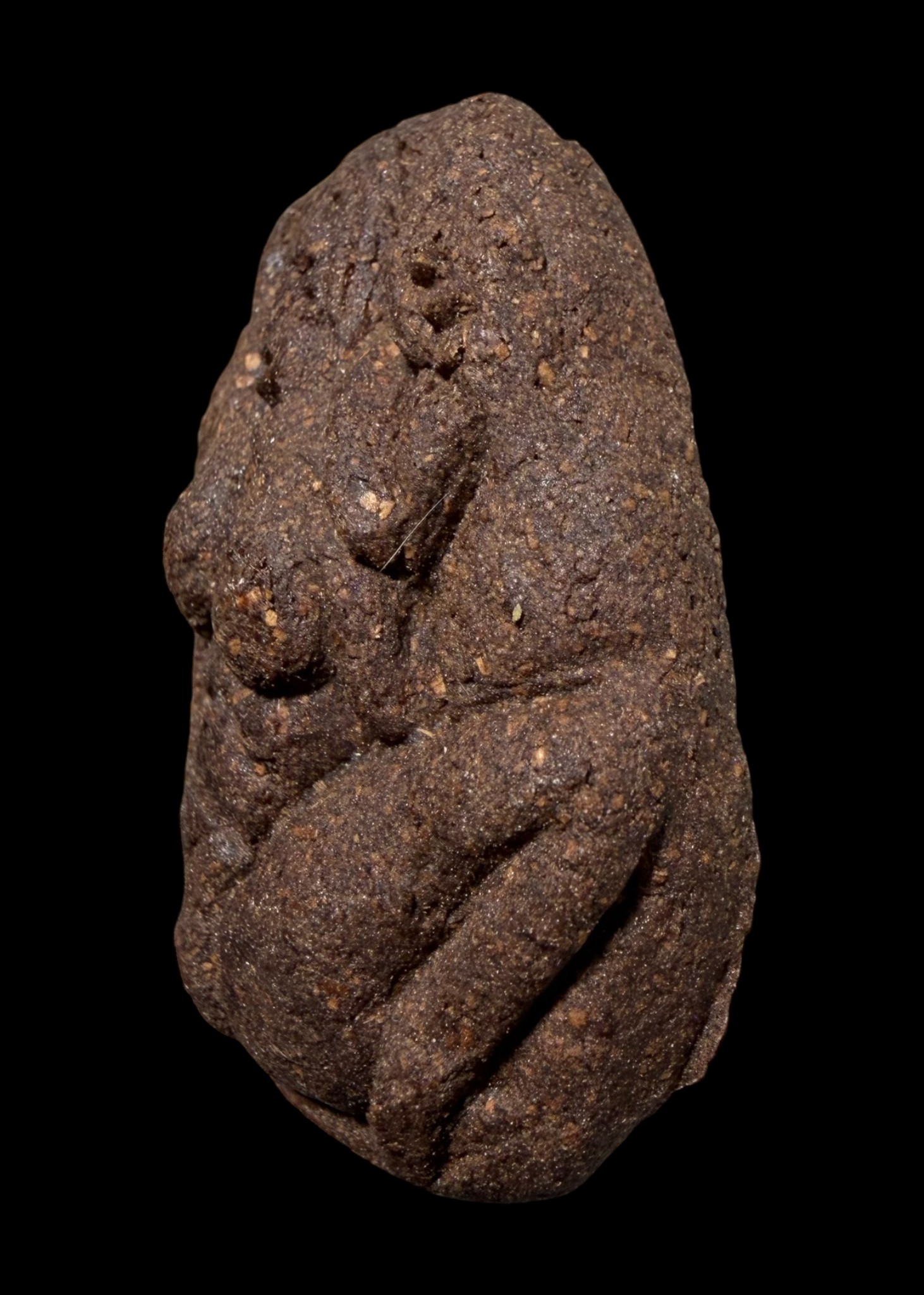 นางจิ้งจกเสน่ห์ Lady Gecko. SKU-03541