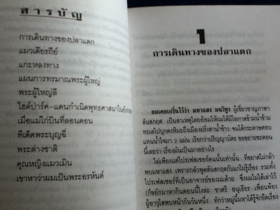 แสงไต้กลางหิมะ