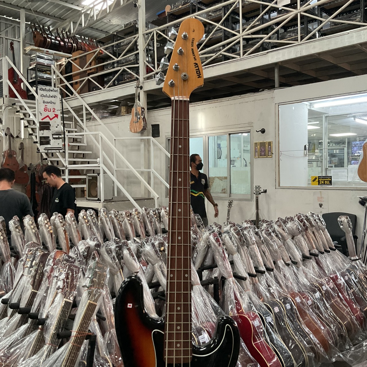 กีต้าร์เบส HOLLY : SPLENDOR