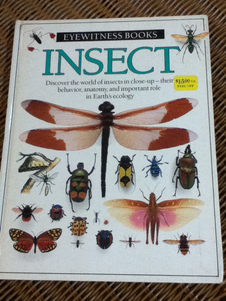 INSECT (ปกแข็ง)