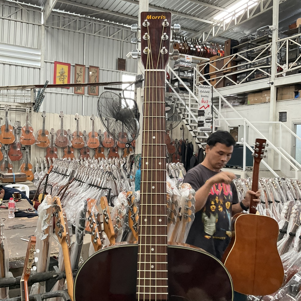 กีต้าร์โปร่ง Morris : MF-208