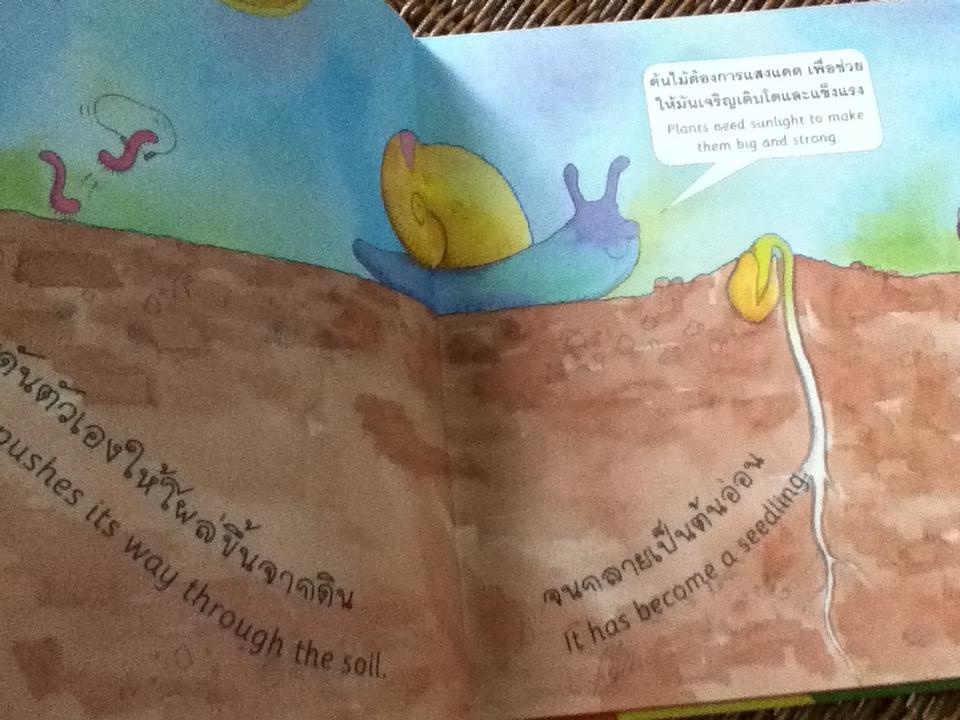 นิทานแรกเริ่มเรียนรู้ธรรมชาติ เล่ม2 สองภาษาไทย-อังกฤษ (ปกแข็ง)/ แซม ก็อดวิน