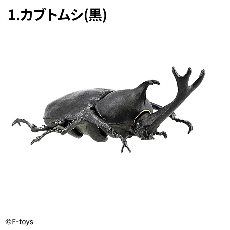 Insect Hunter Beetle x Stag Beetle 10Pack BOX (CANDY TOY)(Pre-order)