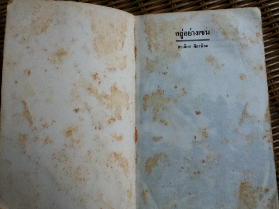 อยู่อย่างเซน/ ละเอียด ศิลาน้อย