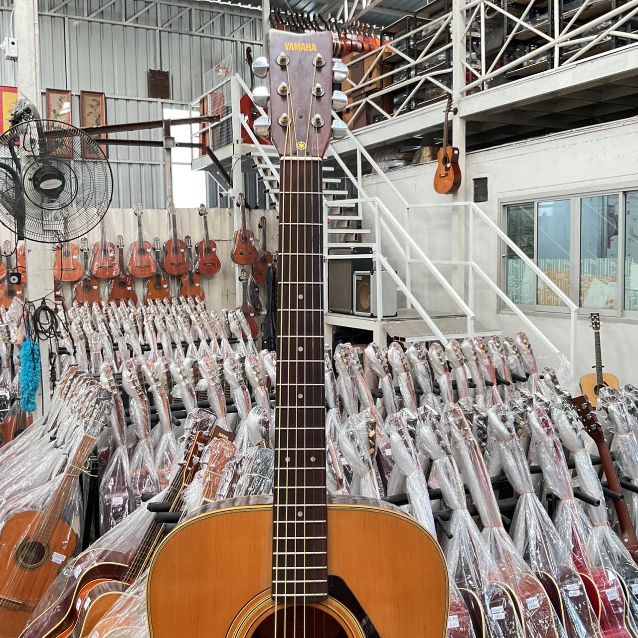 กีต้าร์โปร่ง YAMAHA : FG-151