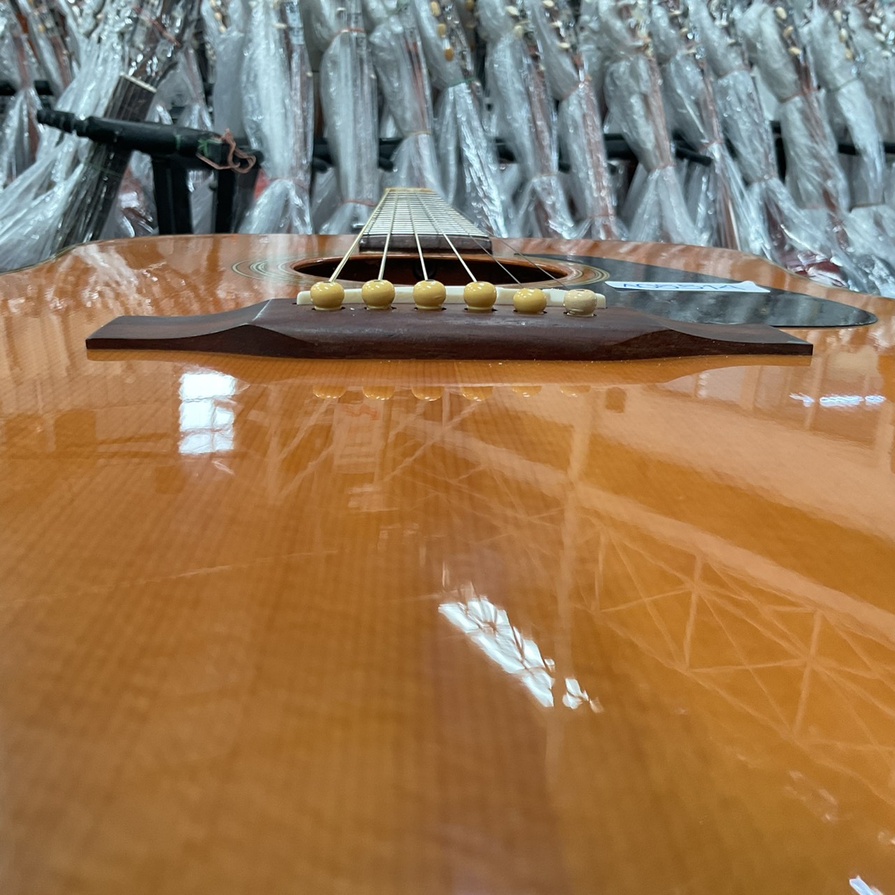 กีต้าร์โปร่ง Morris : MD-503