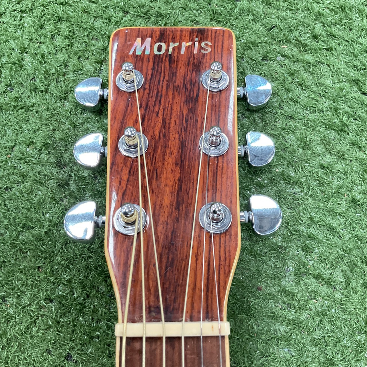 กีต้าร์โปร่ง Morris