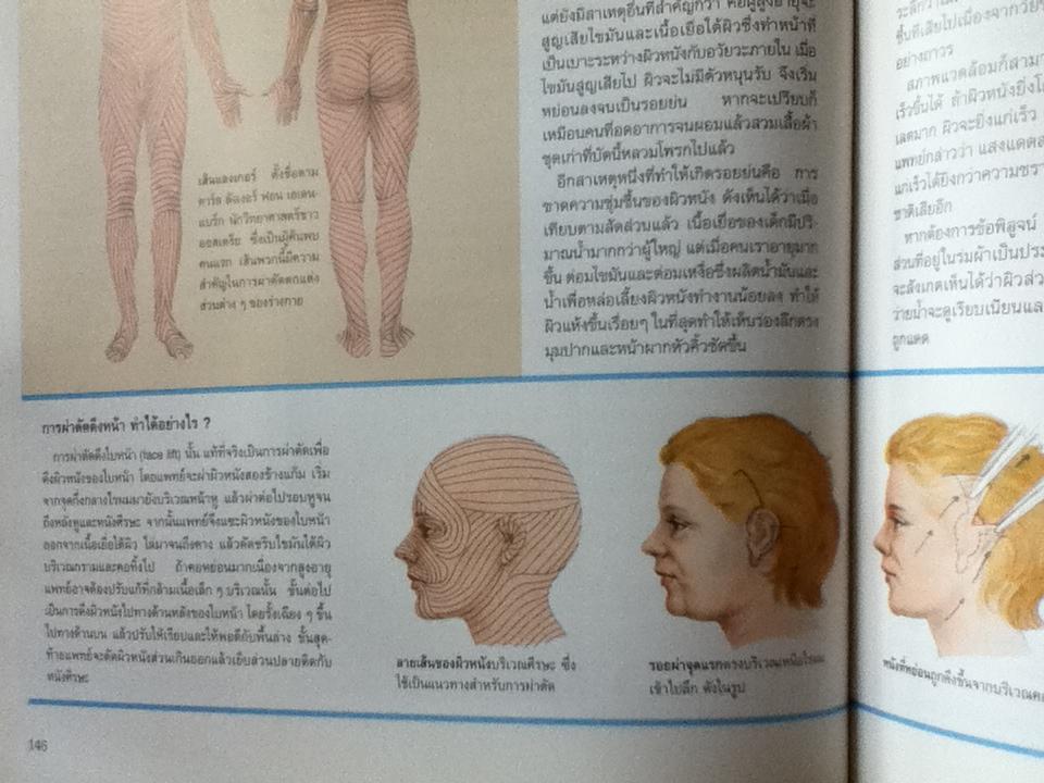 พื้นฐานแห่งกายมนุษย์