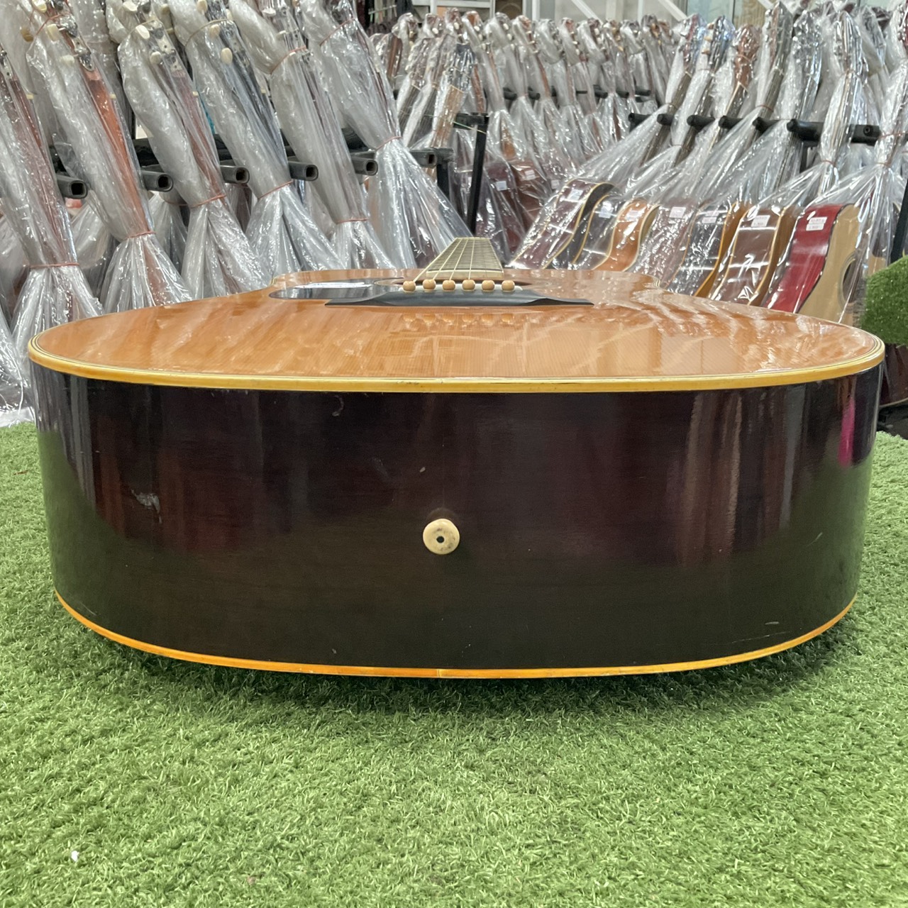 กีต้าร์โปร่ง Morris : W-20 (สำหรับมือซ้าย)