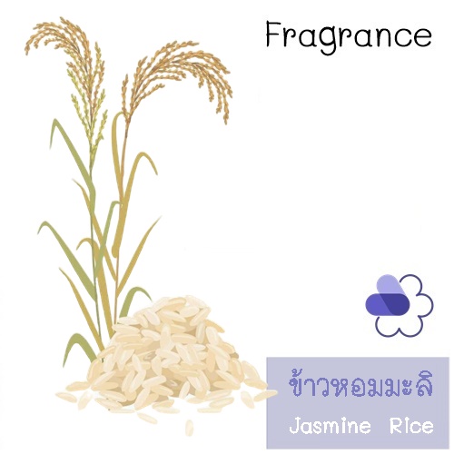 Rice :Jasmine Rice หัวน้ำหอม ข้าวหอมมะลิ savory green กลิ่นหอมของข้าวหุงใหม่ ผสานกลิ่นอบอวลของชาดอกมะลิ COA