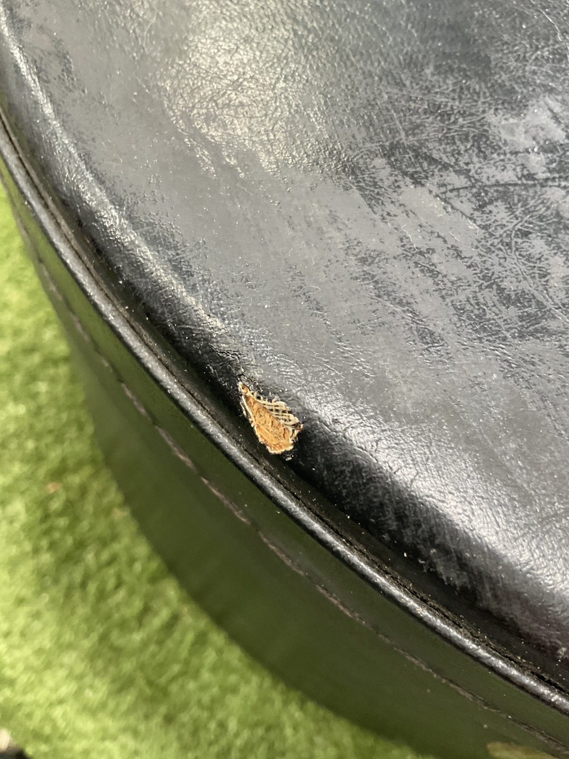 กล่องเคสกีต้าร์โปร่ง