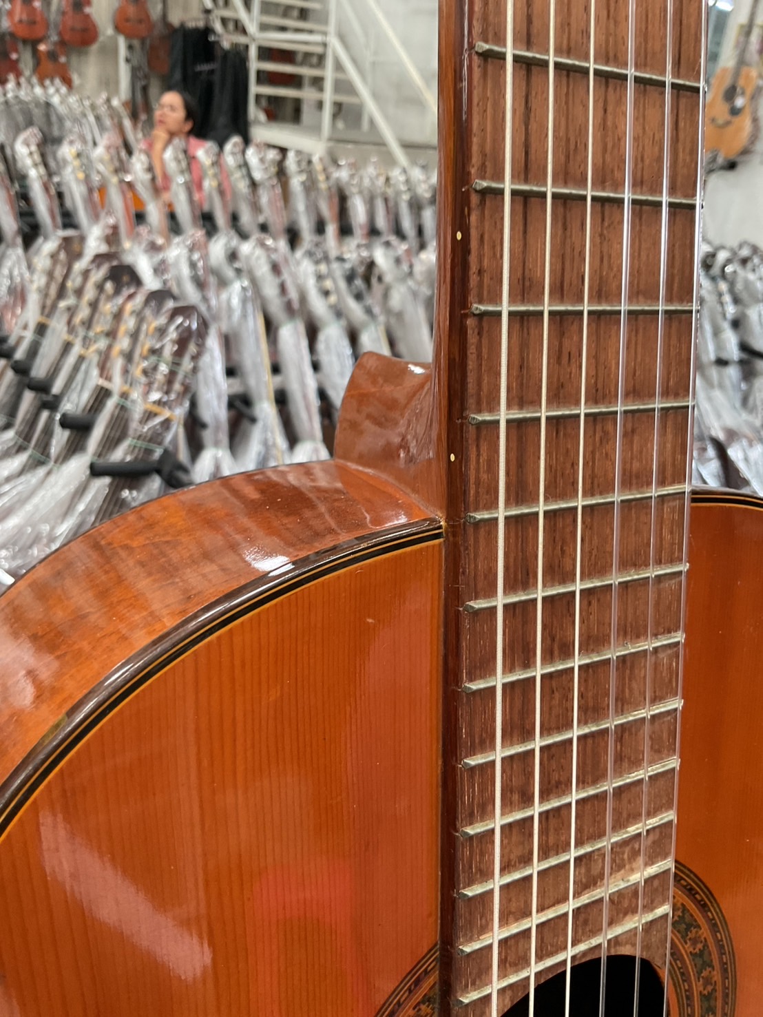 กีต้าร์คลาสสิค Zen-on Gut : No.50