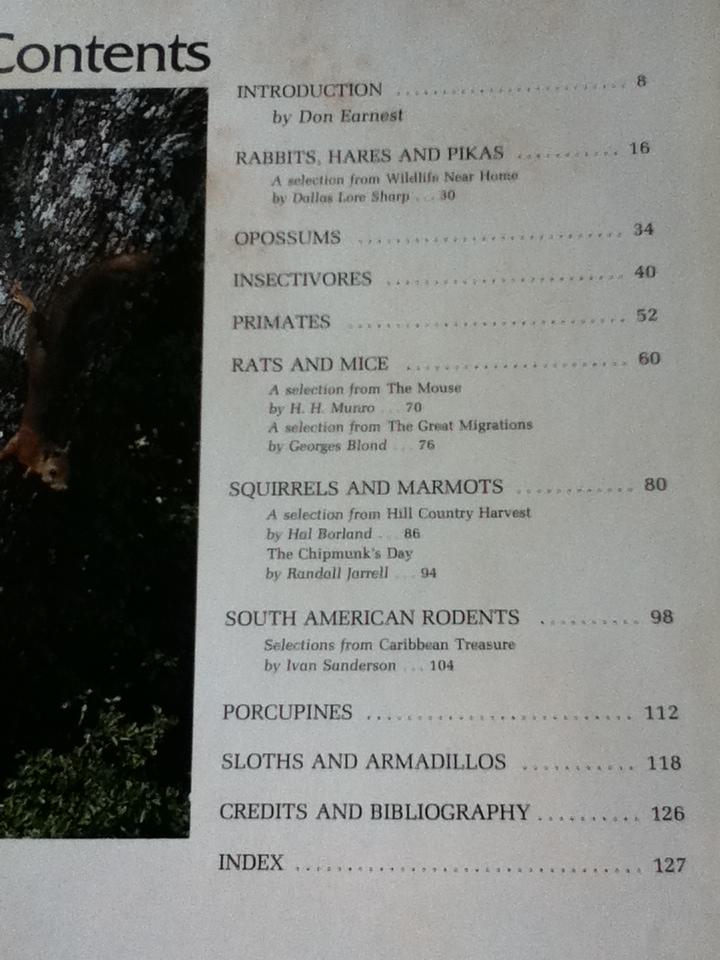 Rabbits & Other Small Mammals หนังสือชุดWild,Wild World of Animals