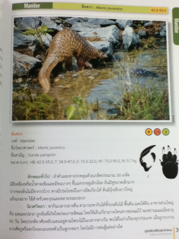 คู่มือสัตว์เลี้ยงลูกด้วยนม ในผืนป่าตะวันตกตอนบน/ ดร.รุ้งนภา พูลจำปา และคณะ