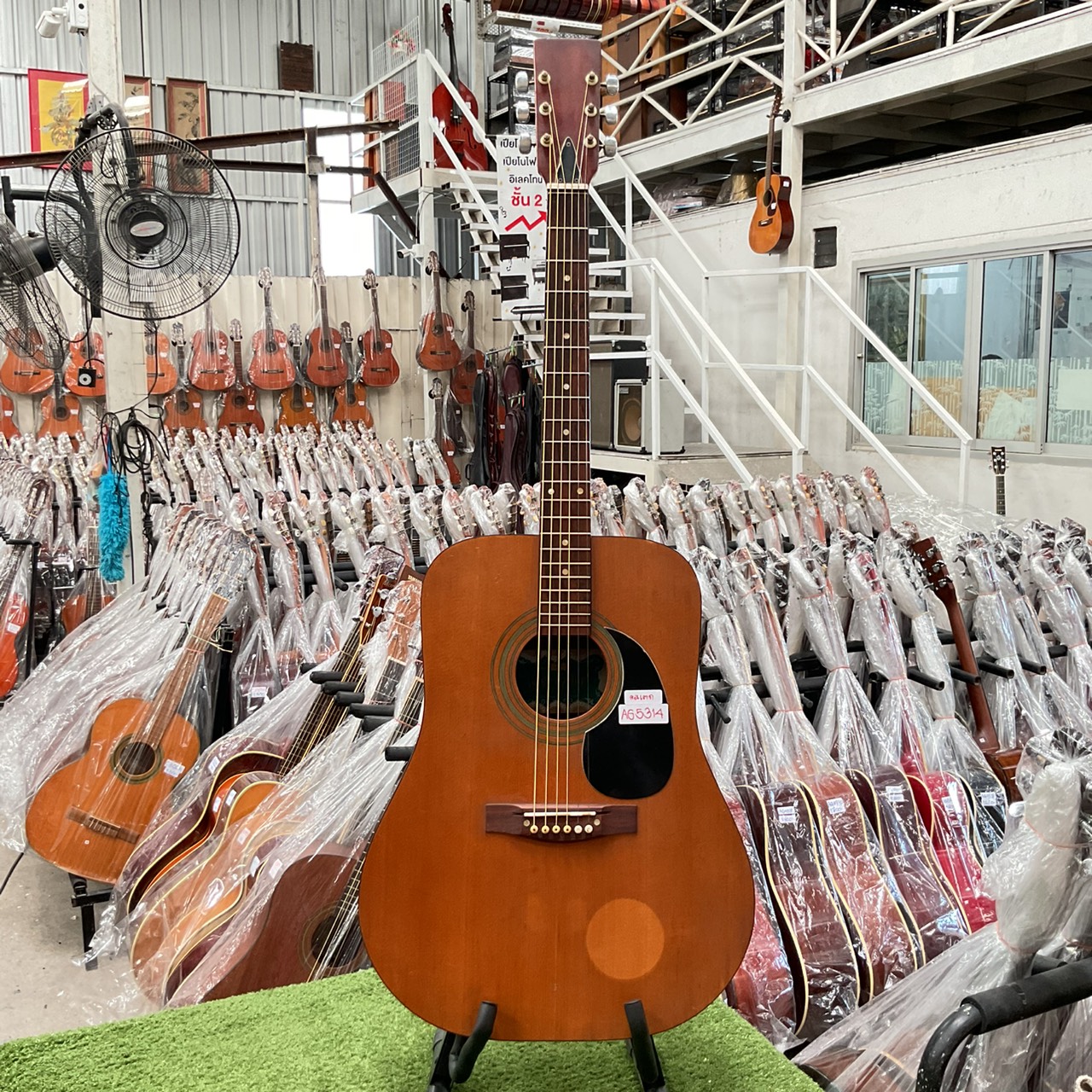 กีต้าร์โปร่ง Muse