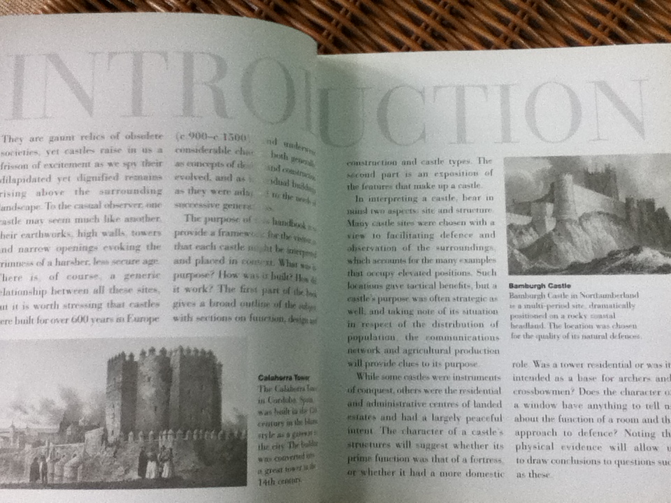 HOW TO READ CASTLES: A crash course in understanding fortifications/ Malcolm Hislop