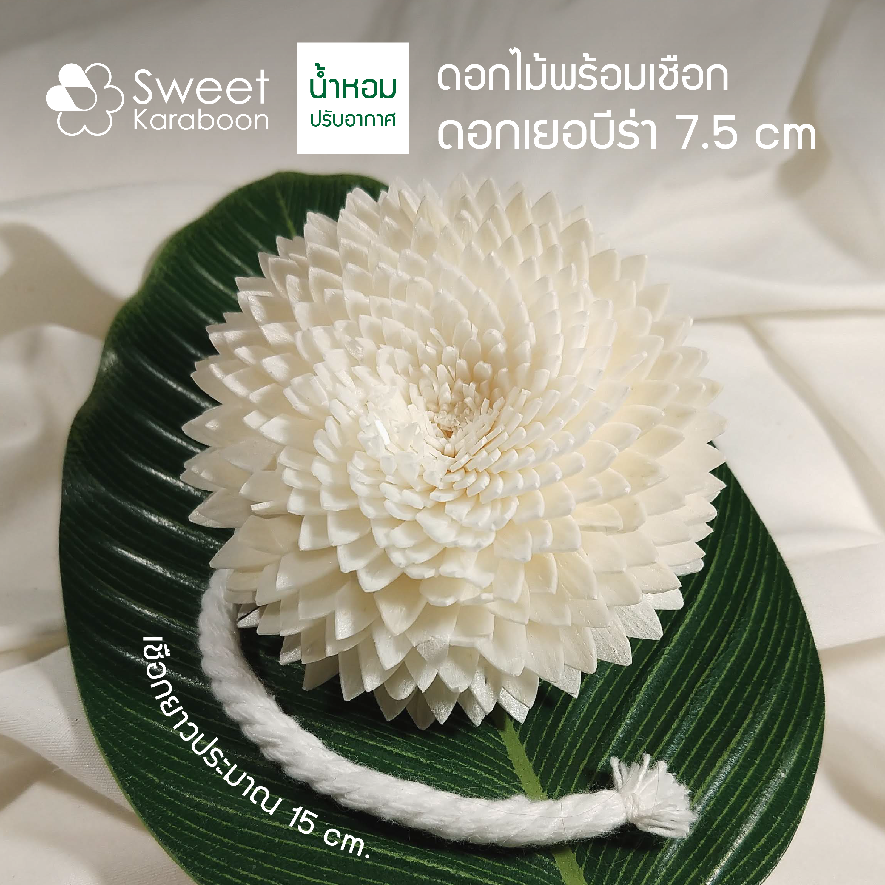 ดอกเยอบีร่า 7.5 cm.