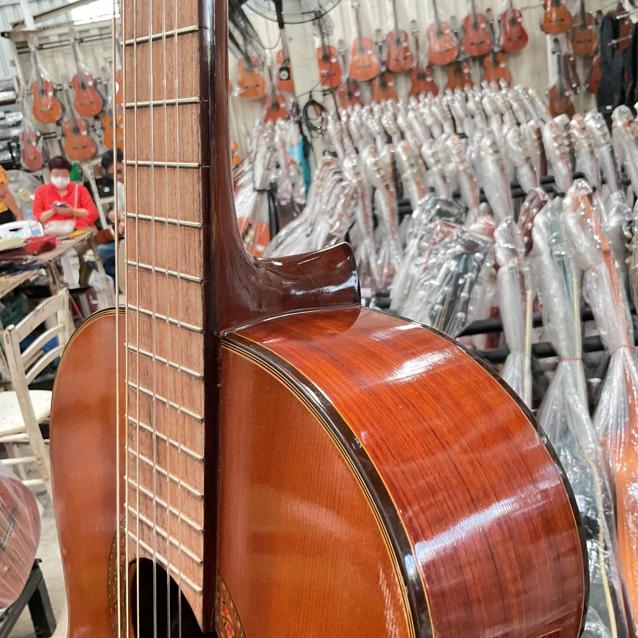 กีต้าร์คลาสสิค Abe Gut : 65A