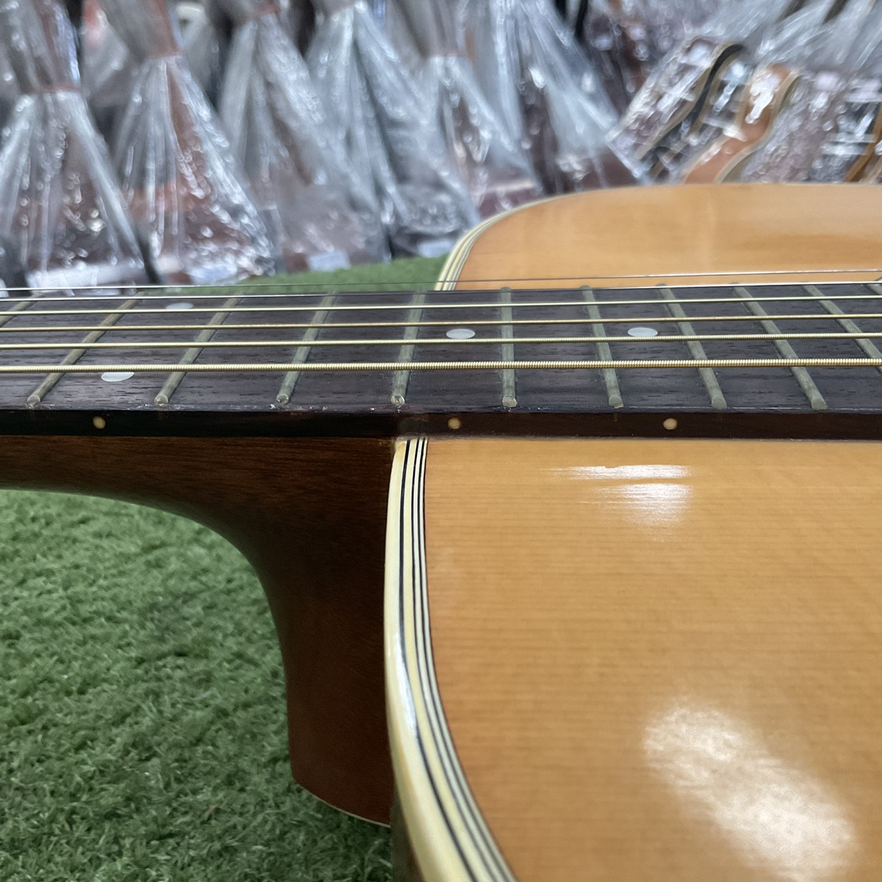 กีต้าร์โปร่ง Morris : W-18