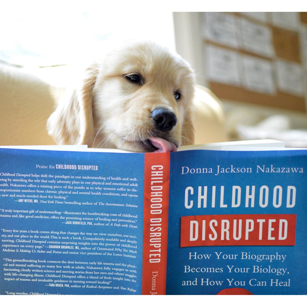 เกินกว่าเจ็บปวด (Childhood Disrupted)