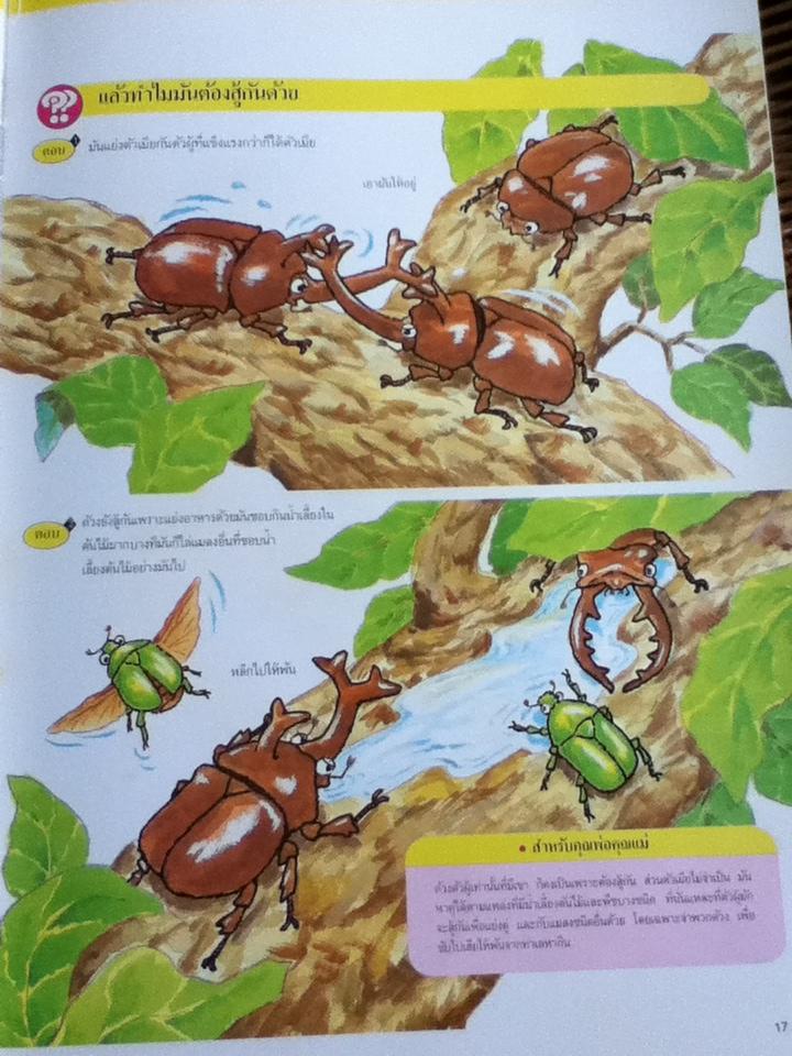 หนังสือชุดความรู้เบื้องต้นสำหรับเด็ก โลกของแมลง