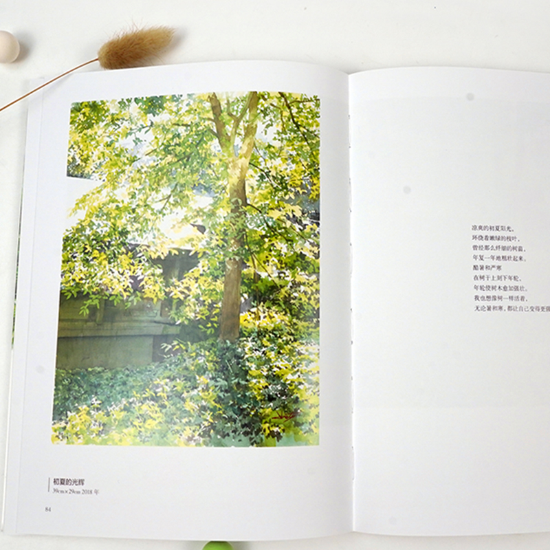 (Pre-order) หนังสือรวมผลงานระบายสีน้ำของ Toshiyuki Abe