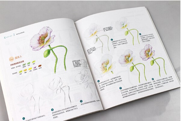 (Pre-order) หนังสือสอนระบายสีไม้ภาพดอกไม้สำหรับระดับเริ่มต้น Life is a flower