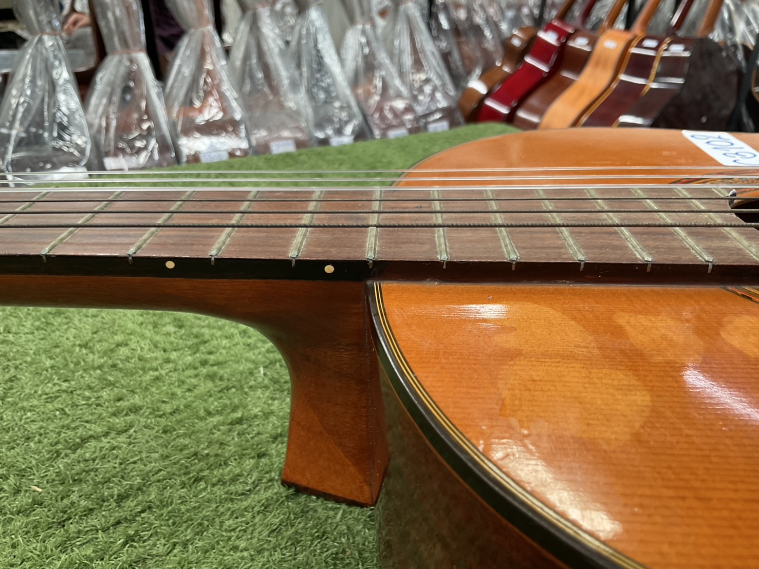 กีต้าร์คลาสสิค Shinano : LG100