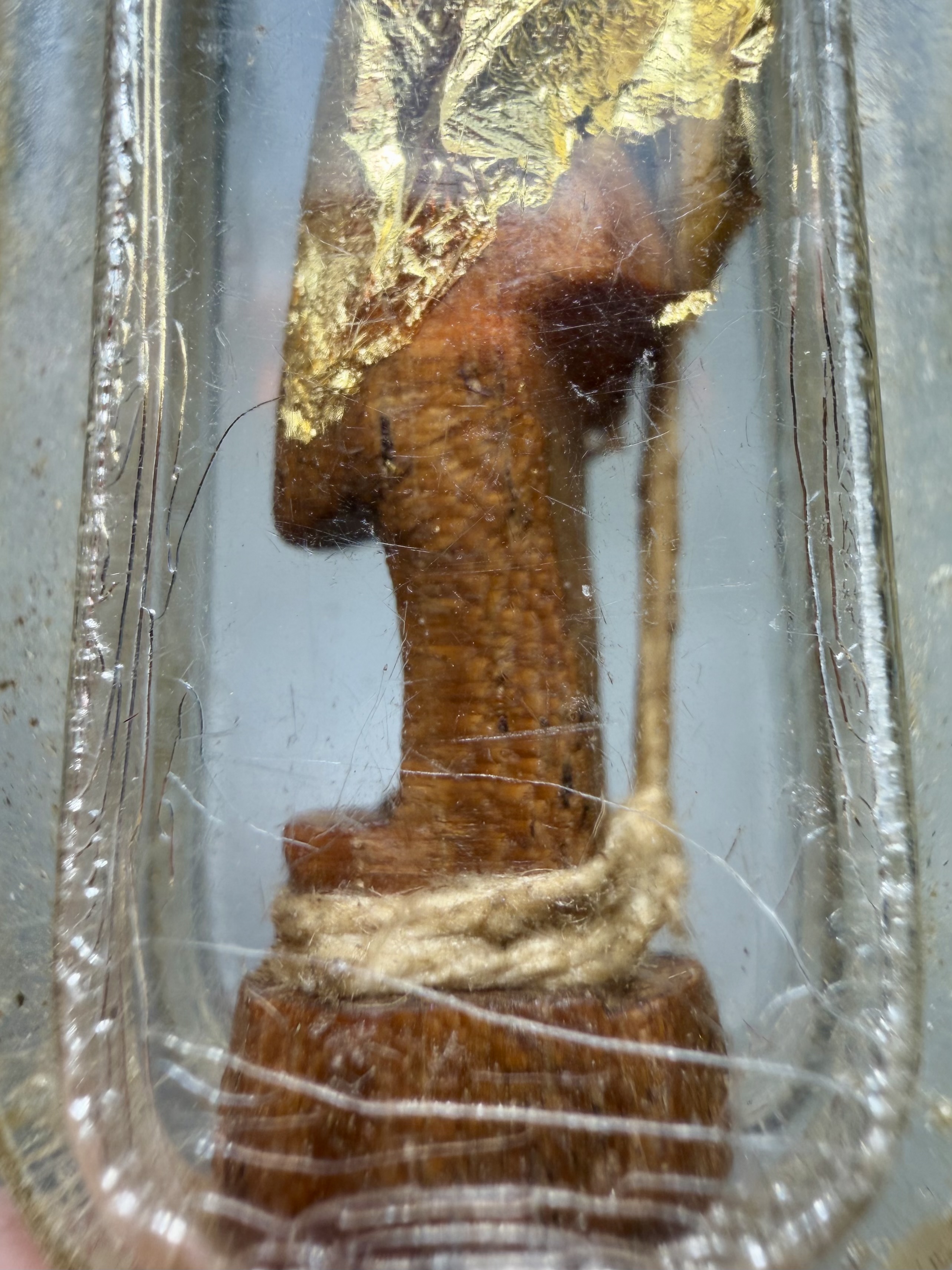 อิ้นไม้วัวลืมคอก Cow-Forget-Pen Inn-Kuu. SKU-04052